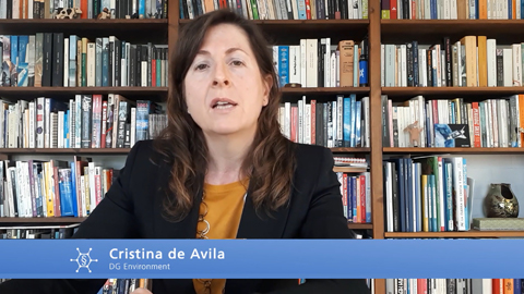 Cristina de Avila